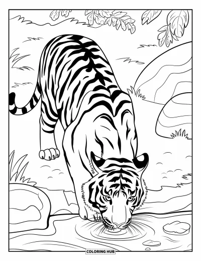 Coloriage d'Inde pour enfants : Tigre avec un collier buvant dans un ruisseau