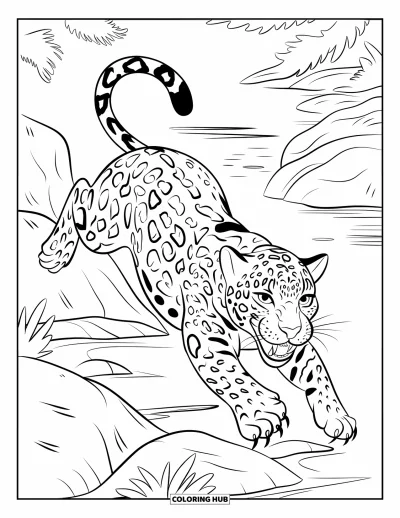 Dschungeltier-Ausmalbild für Kinder: Jaguar springt zwischen Felsen nahe einem Dschungelfluss