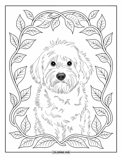 Desen de colorat cu Labradoodle pentru adulți: Labradoodle pufos înconjurat de viță cu frunze răsucite pe fundal simplu