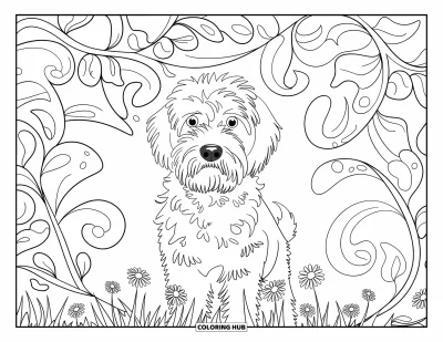 Desen de colorat cu Labradoodle pentru adulți: Labradoodle pe un câmp cu margarete și modele florale ondulate