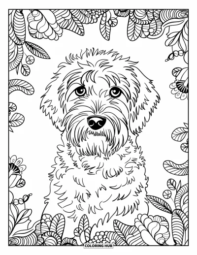 Desen de colorat cu Labradoodle pentru adulți: Portret de Labradoodle cu ramă de mandală botanică din frunze și flori