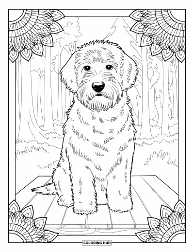 Desen de colorat cu Labradoodle pentru adulți: Portret de Labradoodle pe o platformă de lemn cu ramă de mandală botanică