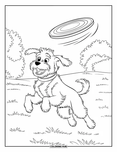 Desen de colorat cu Labradoodle pentru copii: Labradoodle pufos sărind după o frisbee colorată pe un câmp