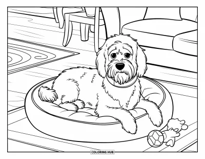 Desen de colorat cu Labradoodle pentru copii: Labradoodle pufos pe un pat pentru câini cu jucării într-un salon