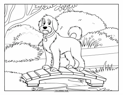 Desen de colorat cu Labradoodle pentru copii: Labradoodle pufos pe un pod de lemn deasupra unui iaz