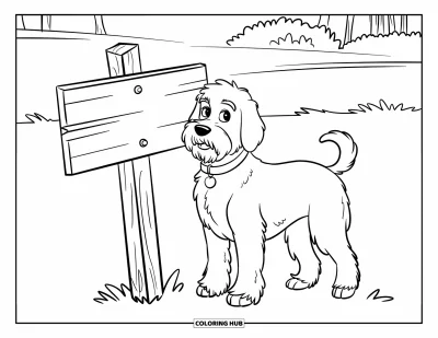 Desen de colorat cu Labradoodle pentru copii: Labradoodle lângă un indicator de lemn înclinat într-un câmp cu iarbă