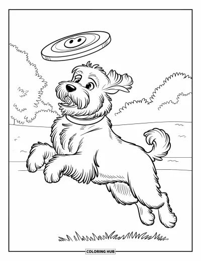Desen de colorat cu Labradoodle pentru copii: Labradoodle prinde o frisbee cu un desen de față zâmbitoare
