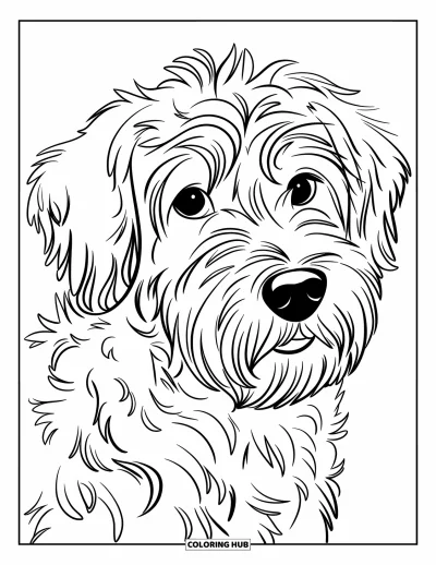 Desen de colorat cu Labradoodle pentru copii: Prim-plan cu fața unui Labradoodle privind într-o parte
