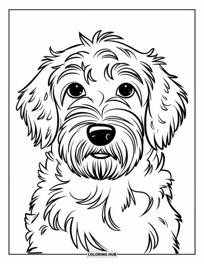 Desen de colorat cu Labradoodle pentru copii: Prim-plan cu fața unui Labradoodle cu urechi lungi și blană pufoasă