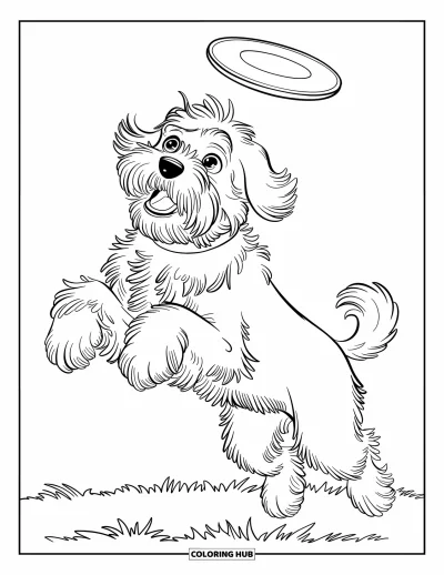 Desen de colorat cu Labradoodle pentru copii: Labradoodle săltând în aer pentru a prinde o frisbee pe un câmp