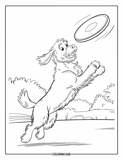 Desen de colorat cu Labradoodle pentru copii: Labradoodle săltând după o frisbee deasupra unui câmp cu iarbă