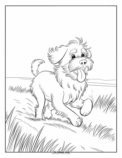 Desen de colorat cu Labradoodle pentru copii: Labradoodle în mers alert printr-un câmp cu iarbă vânturată