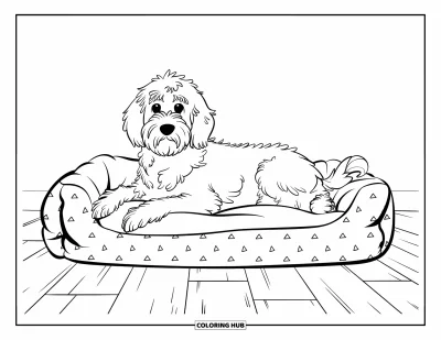 Desen de colorat cu Labradoodle pentru copii: Labradoodle pe un pat decorat pentru câini pe un parchet de lemn