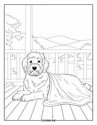 Desen de colorat cu Labradoodle pentru copii: Labradoodle pe o verandă cu o pătură, privind înainte