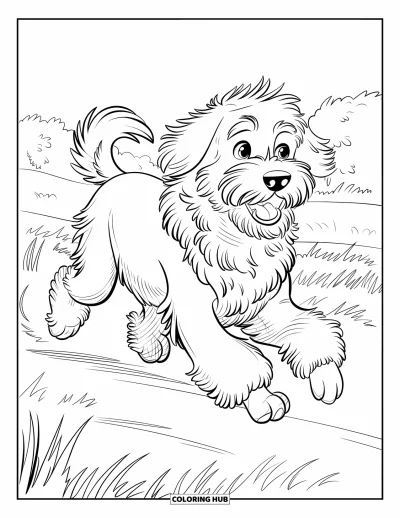 Desen de colorat cu Labradoodle pentru copii: Labradoodle alergând pe un câmp cu gura deschisă