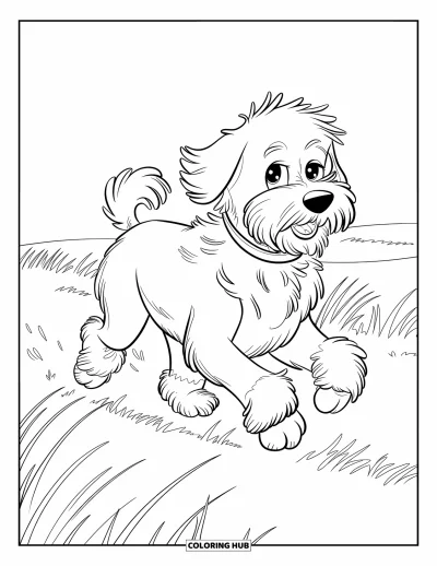 Desen de colorat cu Labradoodle pentru copii: Labradoodle alergând prin iarbă înaltă cu blana fluturând în vânt