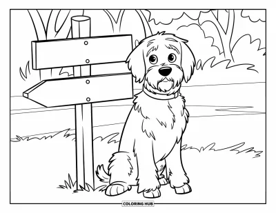 Desen de colorat cu Labradoodle pentru copii: Labradoodle așezat lângă un indicator de lemn într-un parc