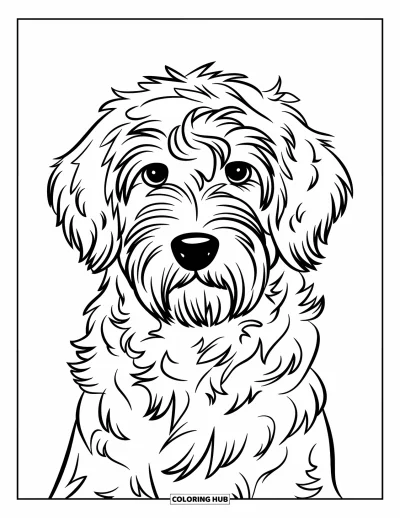 Desen de colorat cu Labradoodle pentru copii: Prim-plan simplu cu fața unui Labradoodle privind înainte