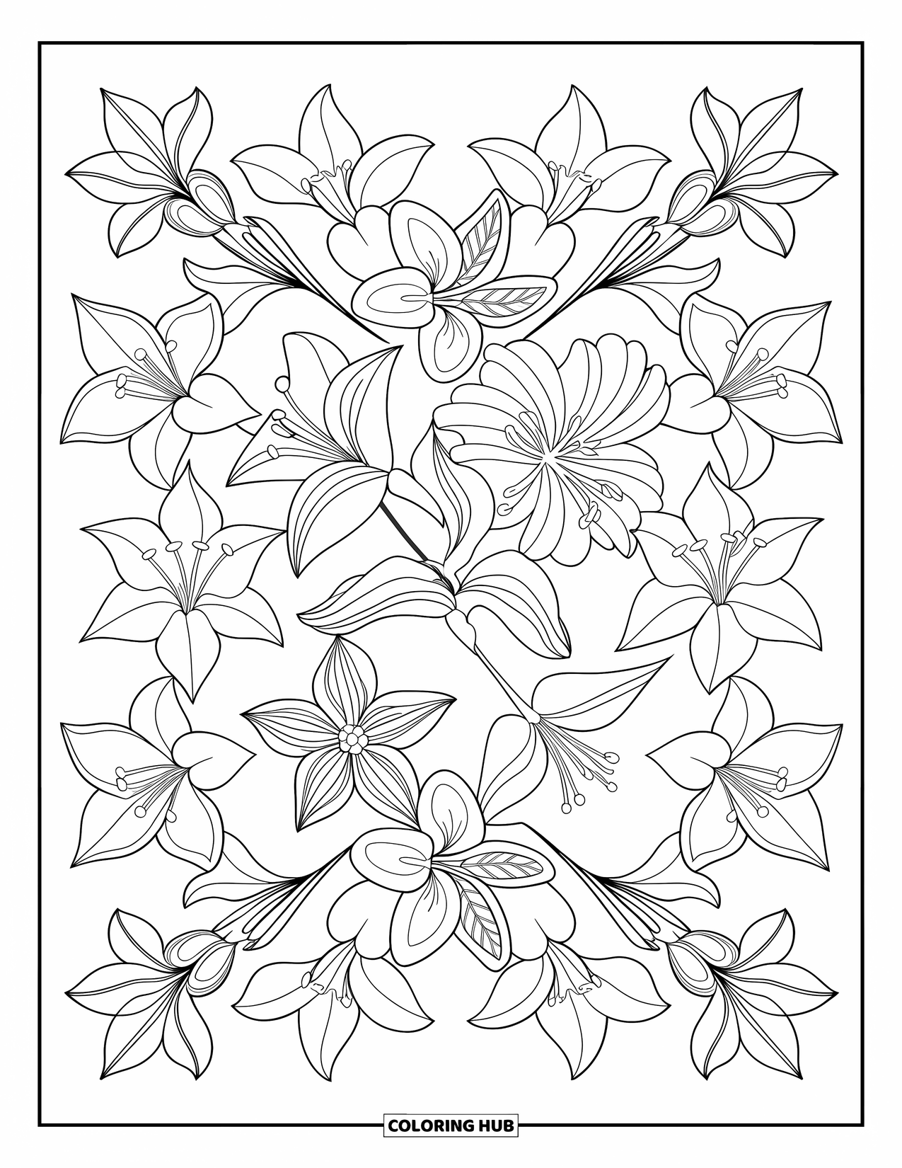 Lily Coloring Page for Adults: A mix of lily types creates a neat, symmetrical floral layout