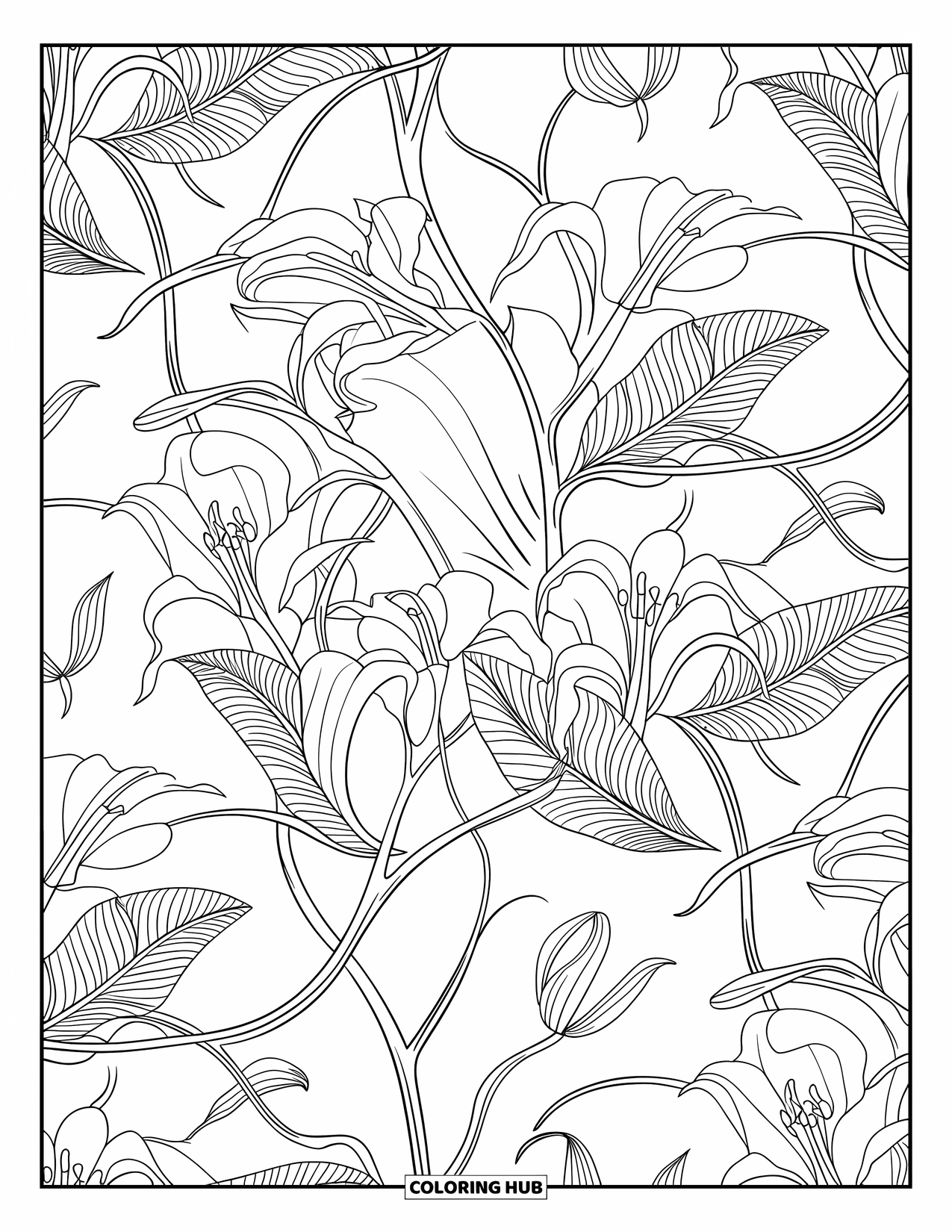 Lily Coloring Page for Adults: Open-petaled lilies, large leaves, and vines weave through a seamless floral pattern