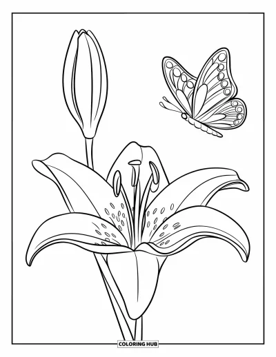 Lilien-Ausmalbild für Kinder: Ein Schmetterling fliegt nahe einer kräftigen Lilie in einem einfachen Motiv