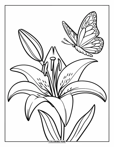 Lilien-Ausmalbild für Kinder: Ein Schmetterling flattert nahe dem obersten Blütenblatt einer großen Lilie