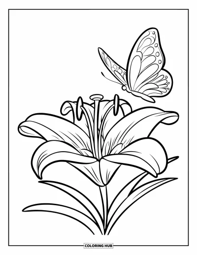 Lilien-Ausmalbild für Kinder: Eine fröhliche Lilie und ein Schmetterling vor weißem Hintergrund