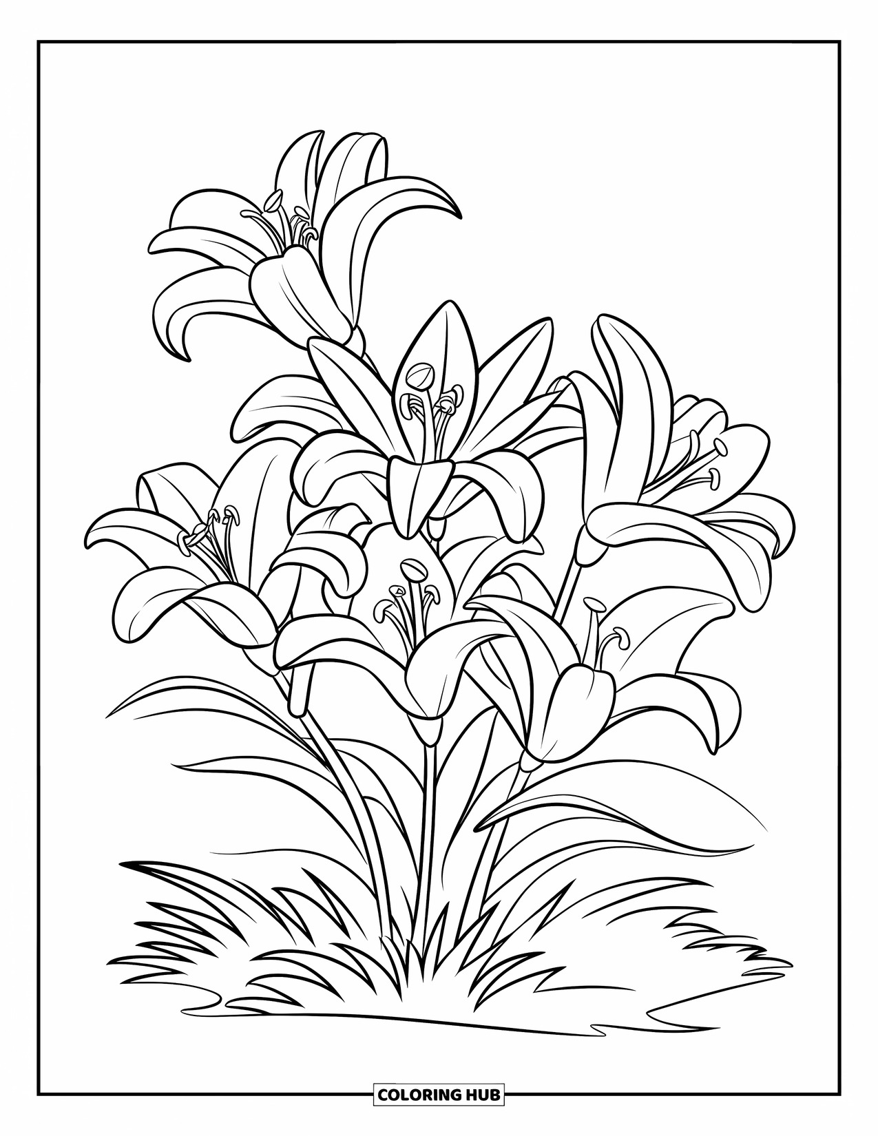 Lily Coloring Page for Kids: A cluster of wild lilies blooms in a quiet forest clearing