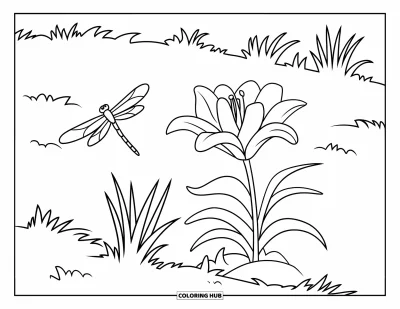 Lilien-Ausmalbild für Kinder: Eine Libelle schwebt über einer Lilie in einem ruhigen Garten