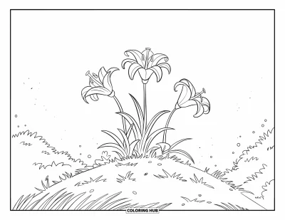 Lilien-Ausmalbild für Kinder: Eine Gruppe Lilien wächst auf einem grasbewachsenen Hügel unter einem klaren Himmel