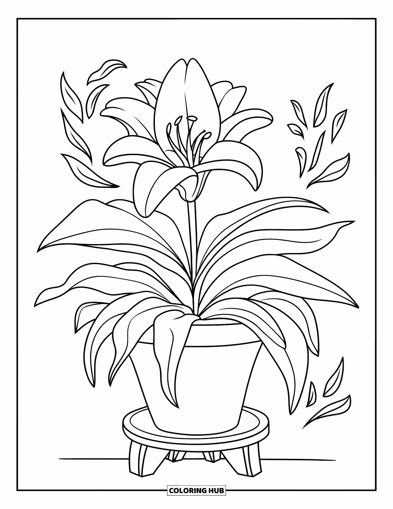 Lily Coloring Page for Kids: A large lily grows in a pot with thick leaves
