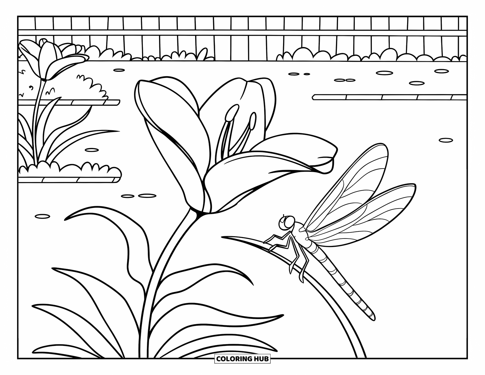 Lily Coloring Page for Kids: A lily and dragonfly rest in a simple garden patch