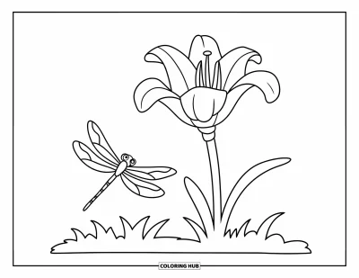 Lilien-Ausmalbild für Kinder: Eine Lilie und eine Libelle stehen aufrecht in einem gepflegten Gartenfleck