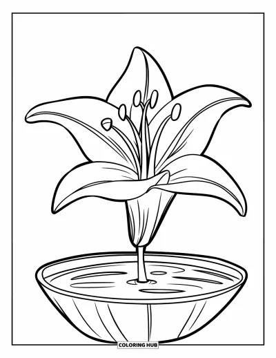 Lilien-Ausmalbild für Kinder: Eine Lilie schwimmt in einer flachen Schale mit Wasser