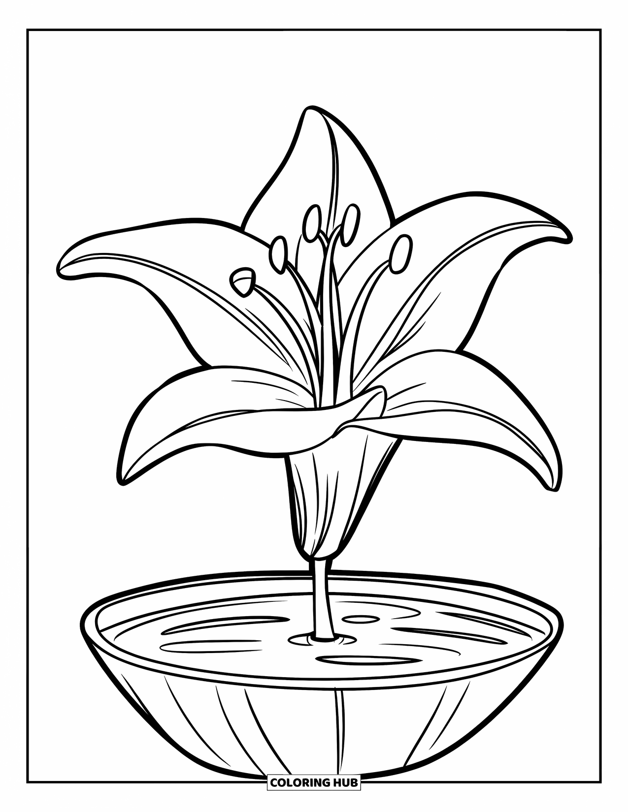 Lily Coloring Page for Kids: A lily floats in a shallow bowl filled with water
