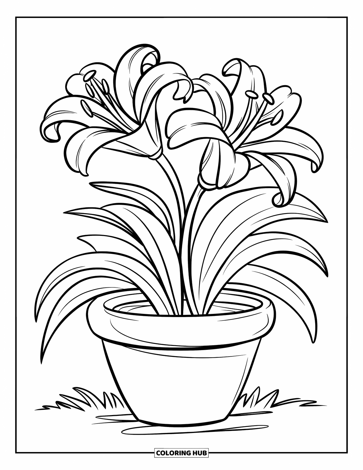 Lily Coloring Page for Kids: A lily in a pot stands firmly on the ground
