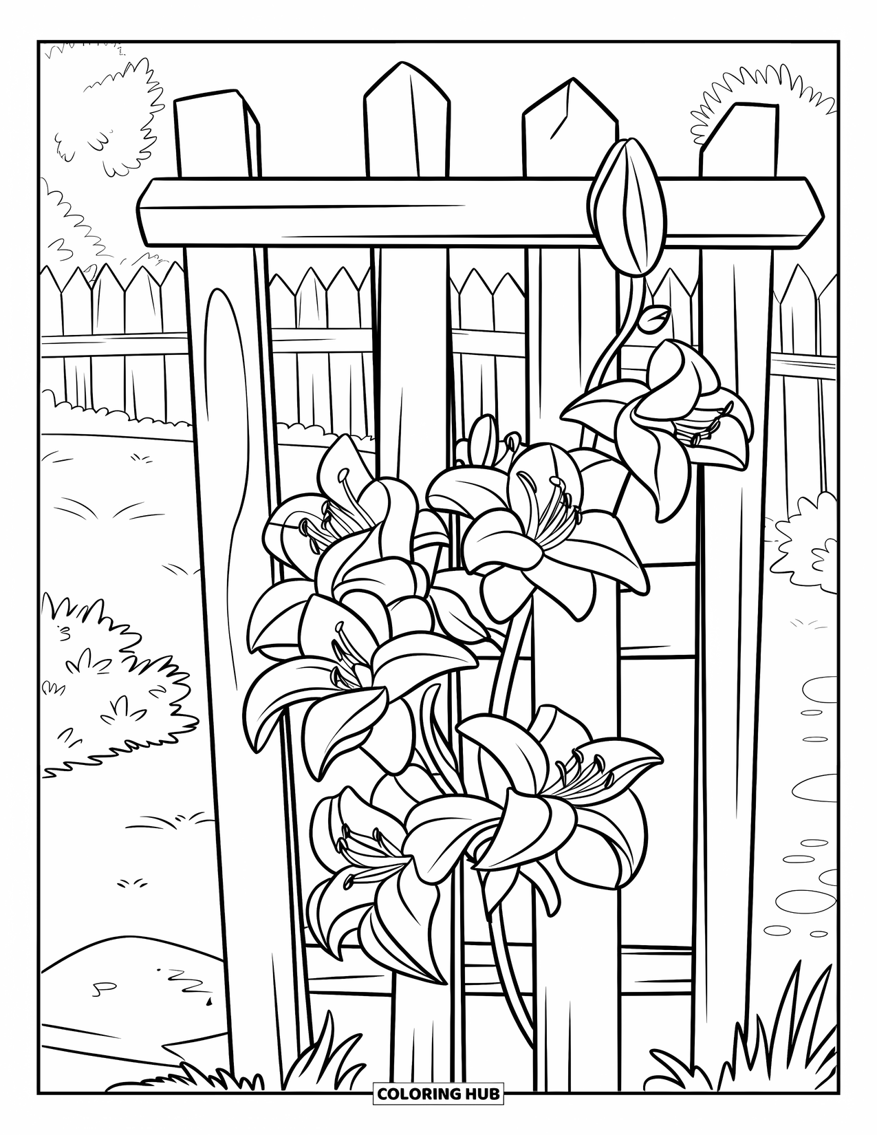 Lily Coloring Page for Kids: A lily vine climbs a wooden trellis in a cozy garden