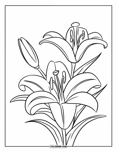 Lilien-Ausmalbild für Kinder: Eine einzelne kräftige Lilie steht hoch in einer schlichten Szene