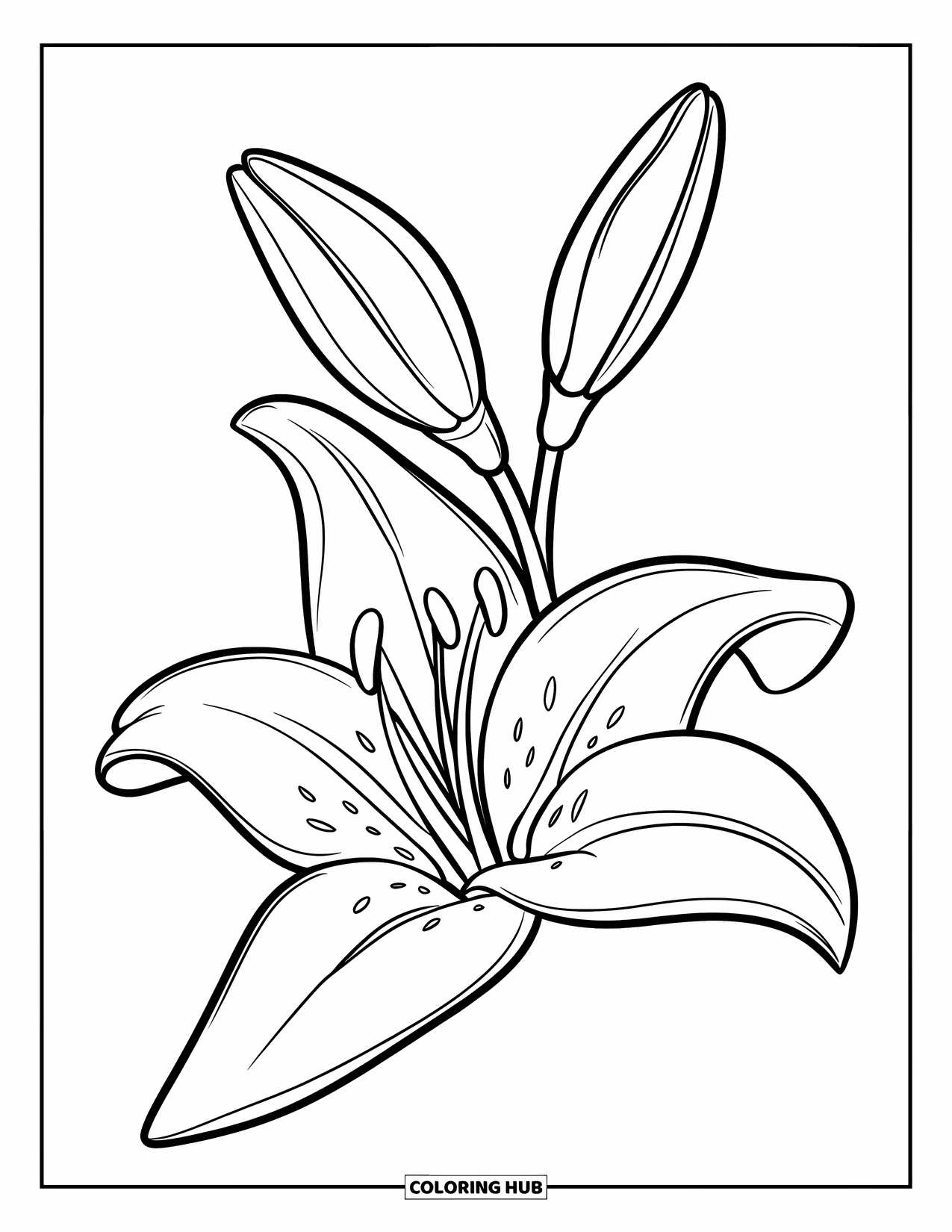 Lily Coloring Page for Kids: A single lily stands with three large, bold petals