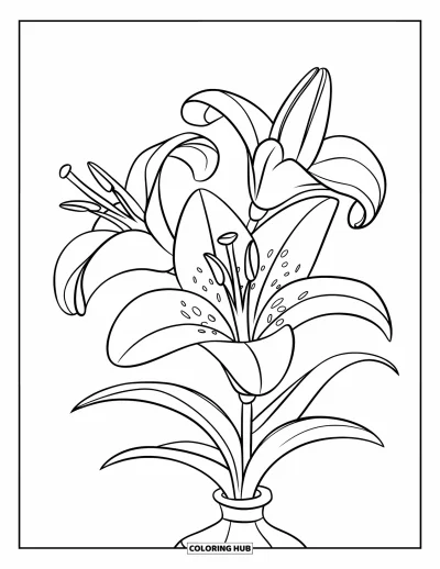 Lilien-Ausmalbild für Kinder: Eine dreiblättrige Lilie steht in einer Vase mit einfachen Umrissen
