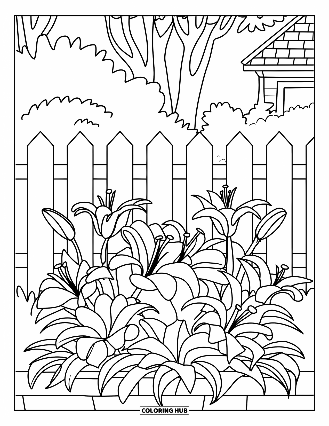 Lily Coloring Page for Kids: Lilies bloom in a garden bed behind a white picket fence