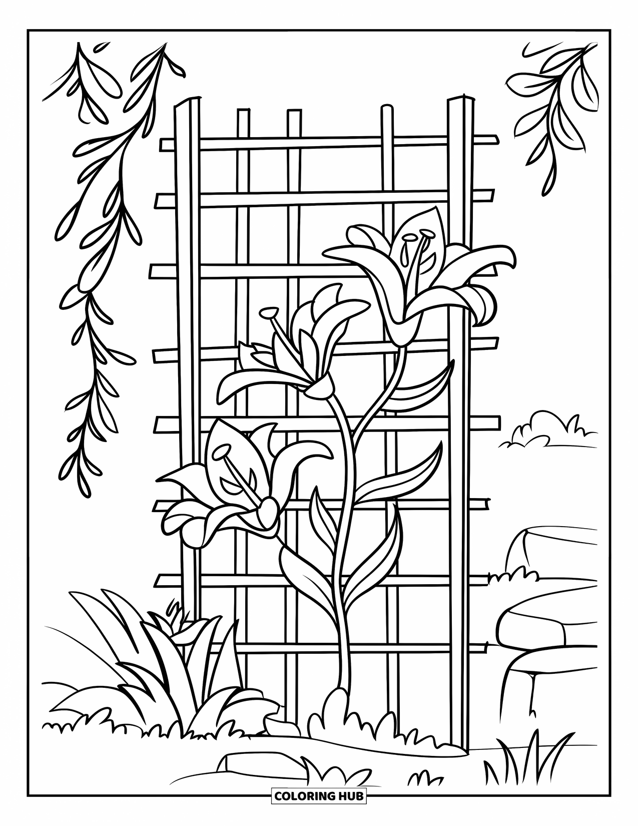 Lily Coloring Page for Kids: Lily flowers bloom on a trellis with leaves and rocks below