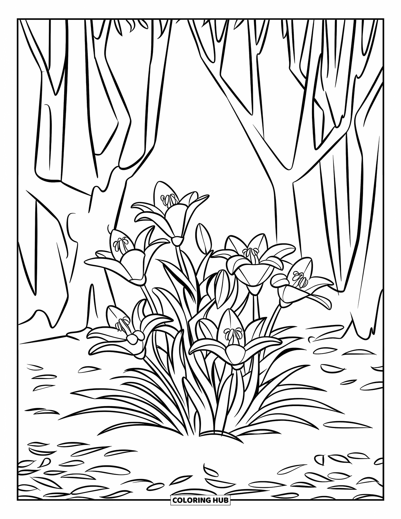 Lily Coloring Page for Kids: Tall lilies bloom among trees in a quiet forest