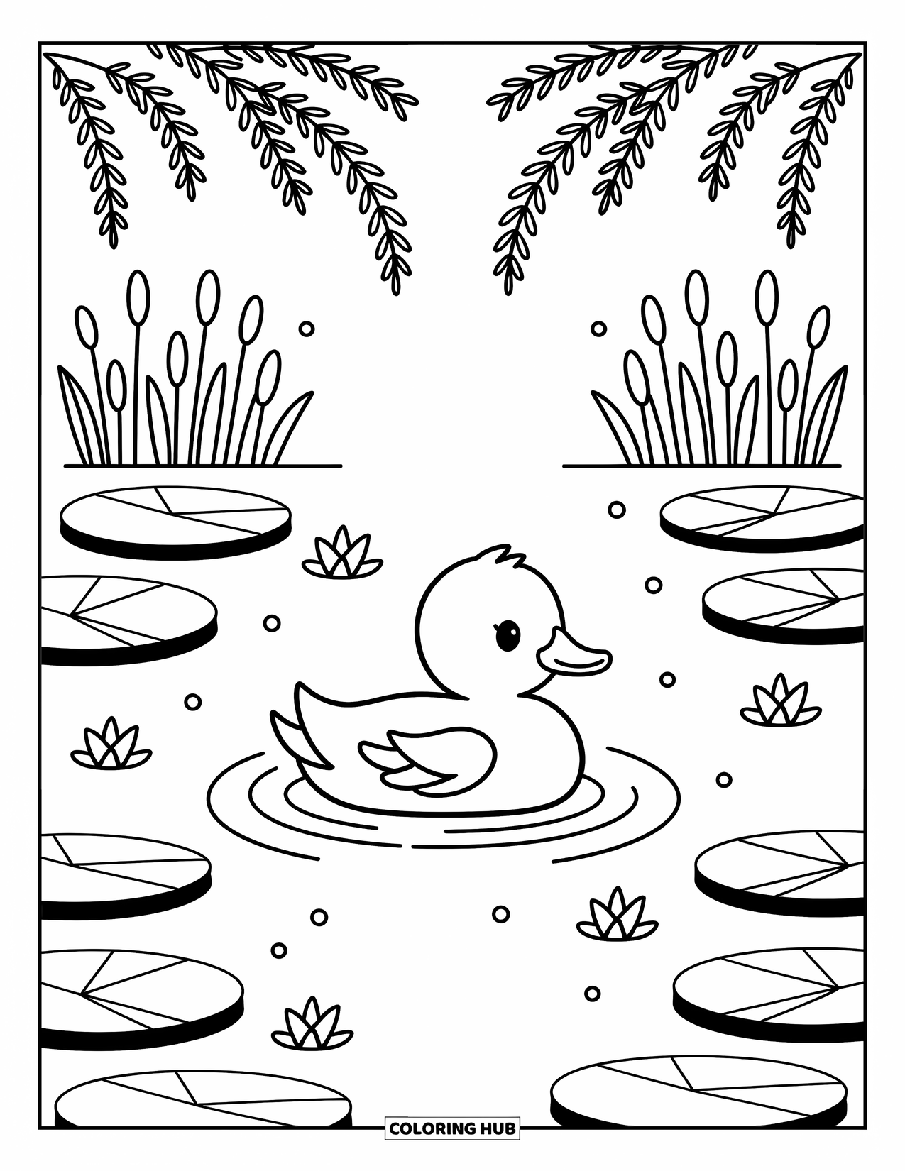 Mallard Duck Coloring Page for Adults: Mallard floating on a pond surrounded by lily pads and willow branches