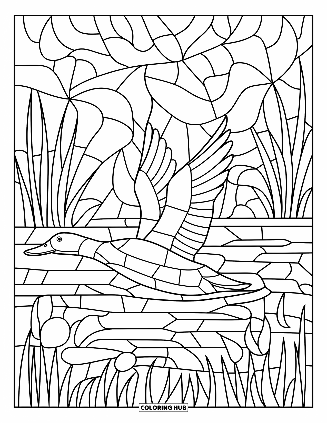 Mallard Duck Coloring Page for Adults: Mallard flying over a marsh with stained glass plant patterns