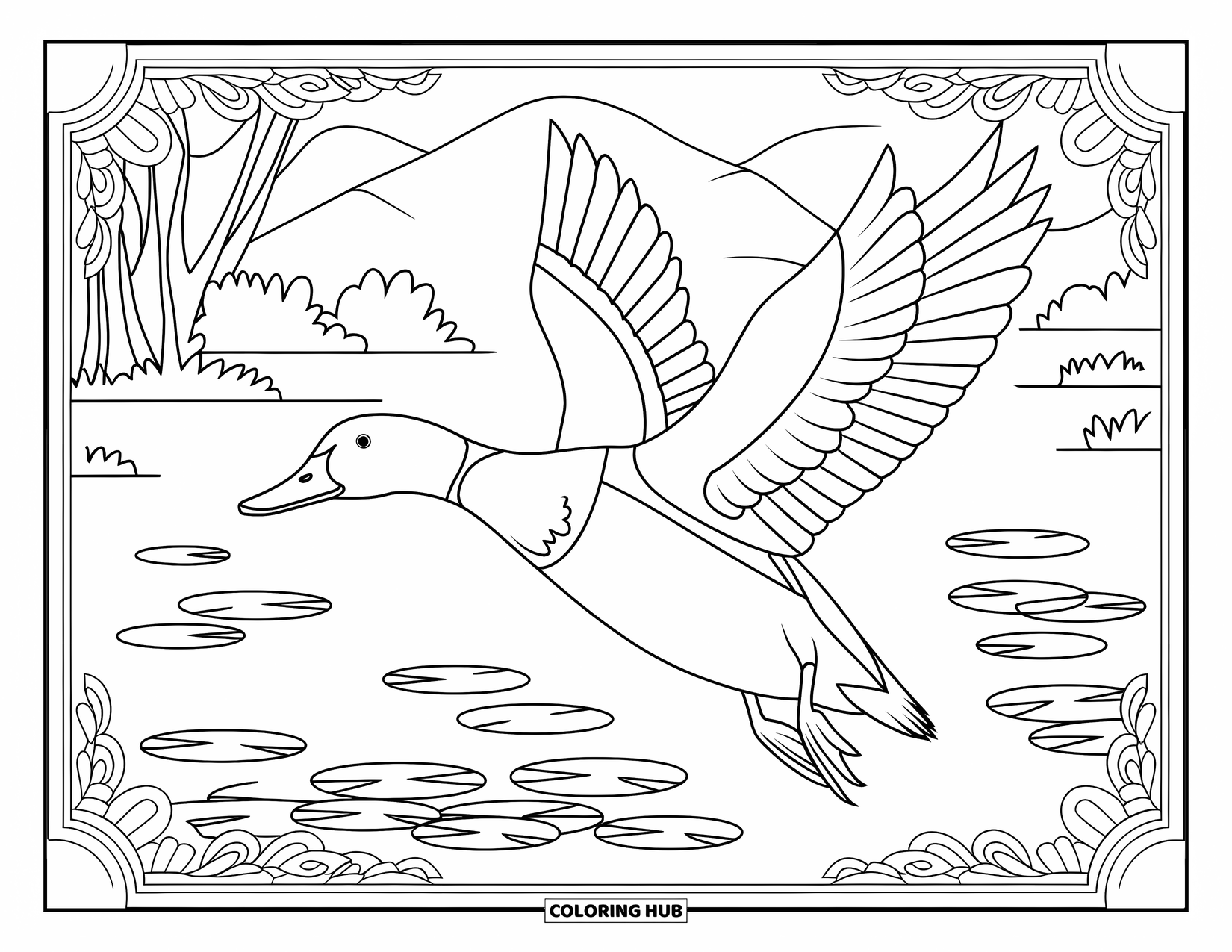 Mallard Duck Coloring Page for Adults: Mallard in mid-flight above water with lily pads and botanical borders