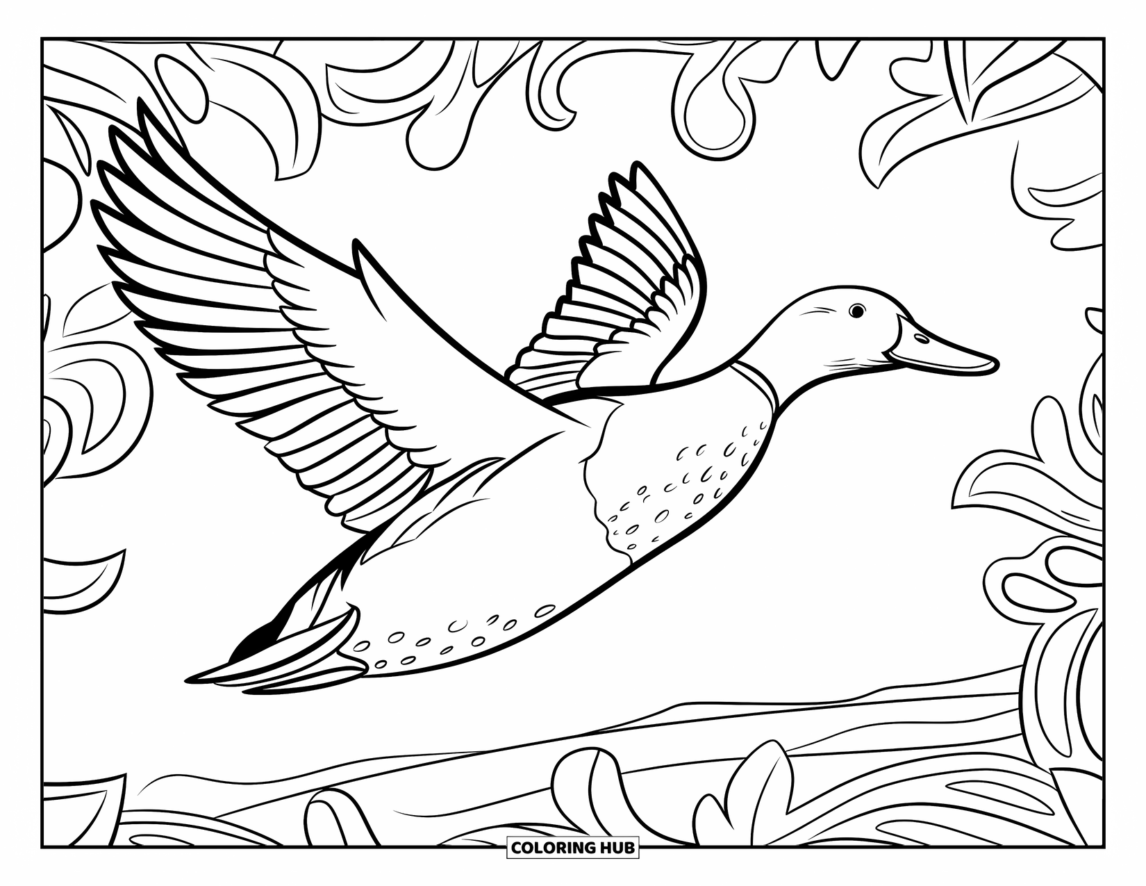 Mallard Duck Coloring Page for Adults: Mallard in mid-flight over water with intricate botanical swirls