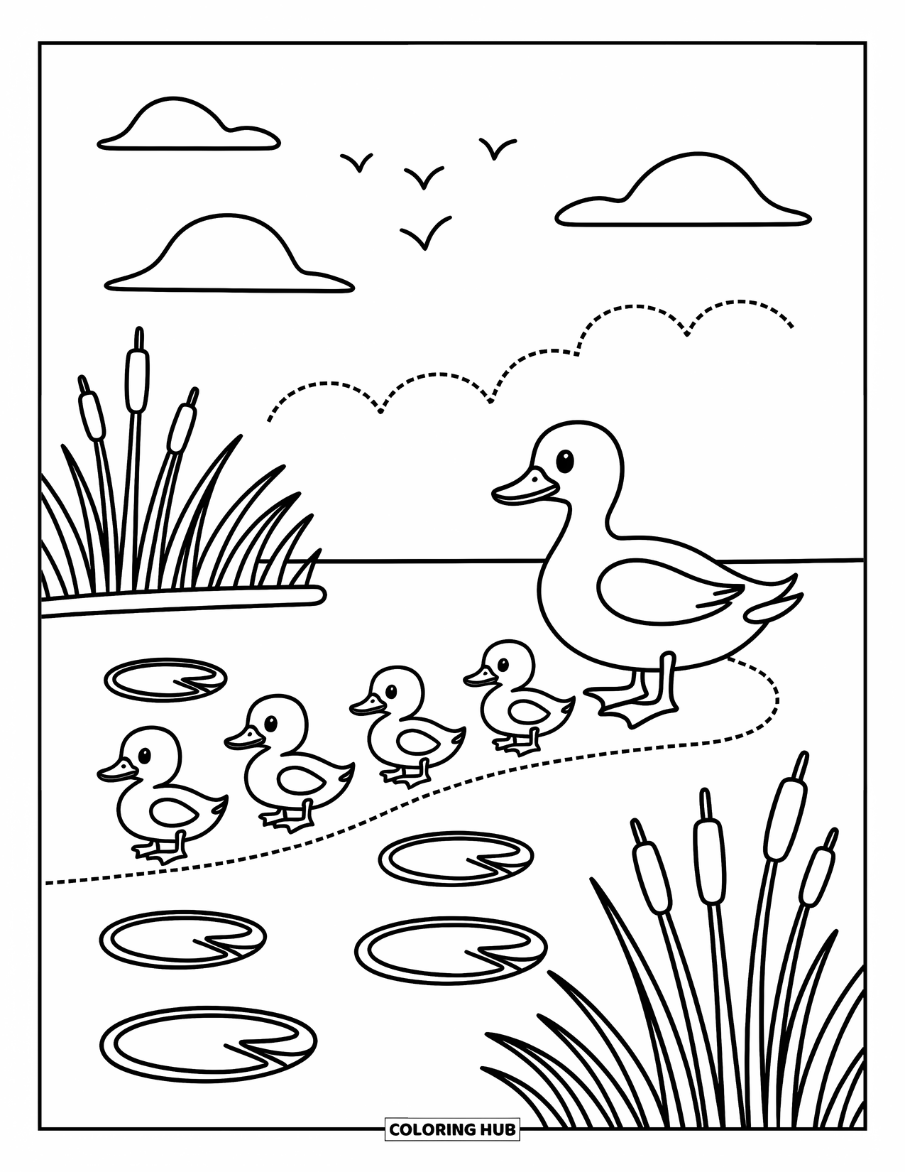 Mallard Duck Coloring Page for Adults: Mallard leading ducklings across lily pads with cattails and a footpath