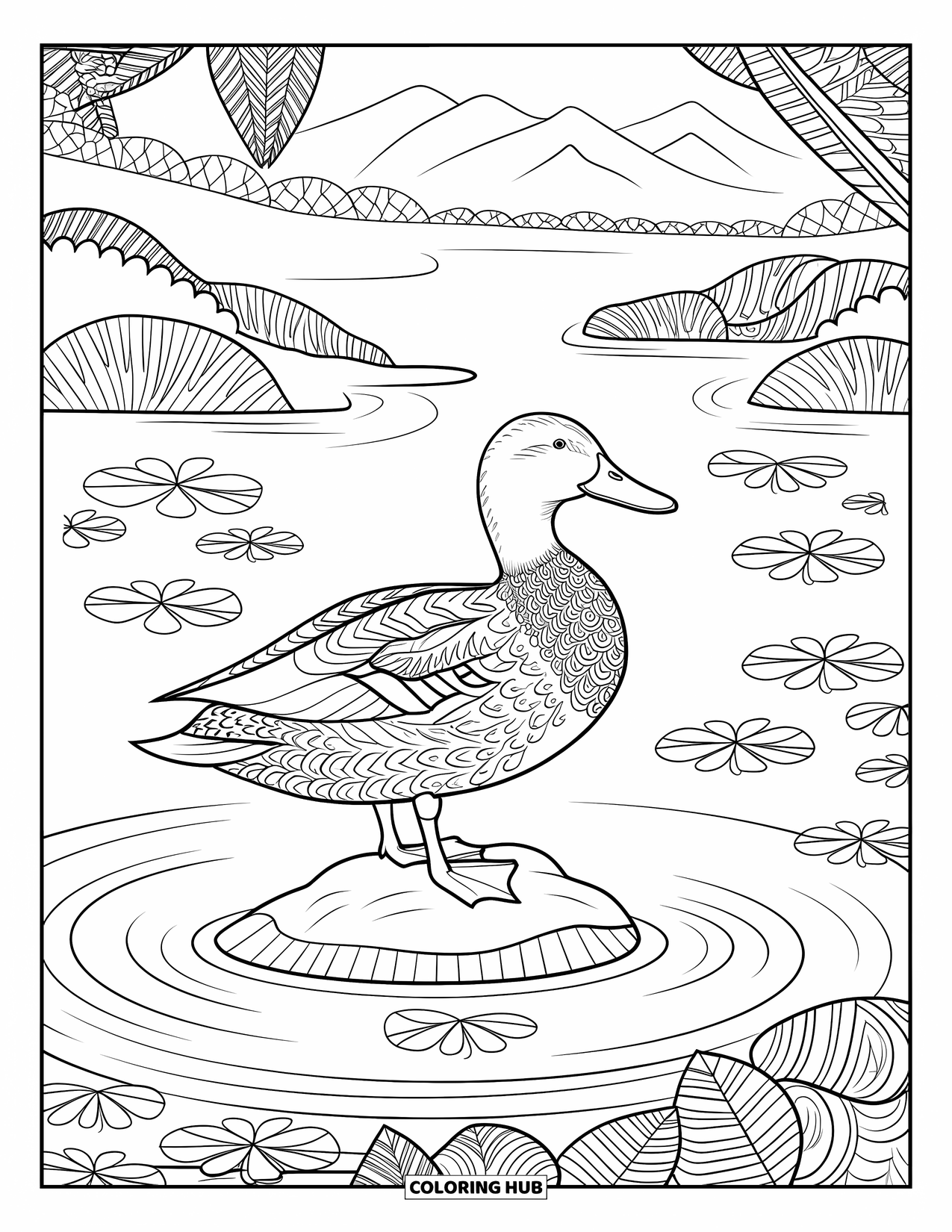 Mallard Duck Coloring Page for Adults: Mallard on a rock in a pond with ripples and leaf patterns