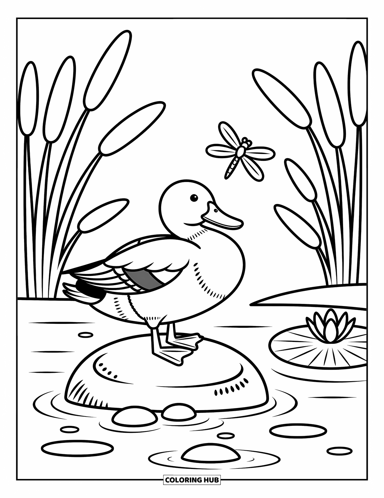 Mallard Duck Coloring Page for Adults: Mallard on a rock preening with reeds, dragonfly, and ripples in the water